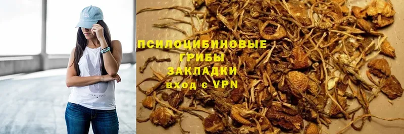 Галлюциногенные грибы Magic Shrooms  Лебедянь 